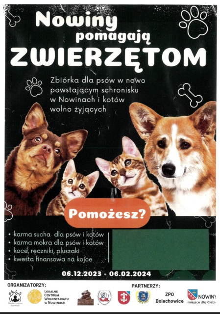 Marzena Buchart