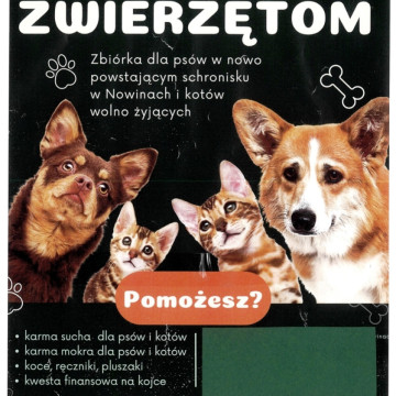 Marzena Buchart